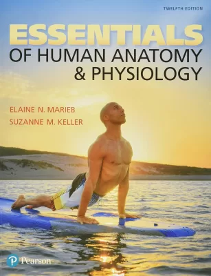 Essentials of Human Anatomy & Physiology 12th Edition (PDF ebook)