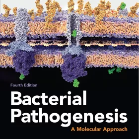Bacterial Pathogenesis: A Molecular Approach 4th Edition (PDF ebook)